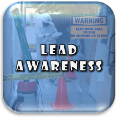 Lead Awareness