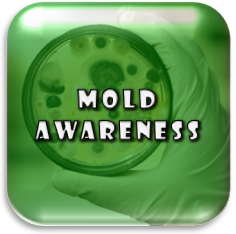 Mold Awareness